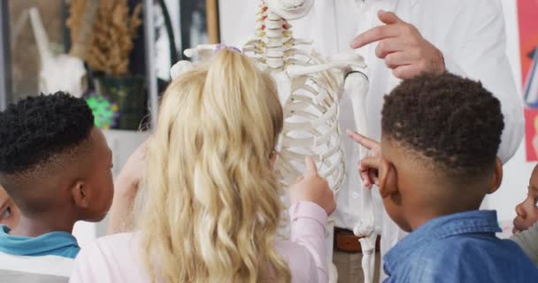 在生物课上 不同的男教师和快乐的学童在学习骨骼 包容性 小学教育和学习概念 — 图库视频影像