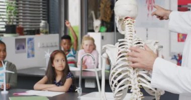 Çeşitli erkek öğretmenler ve mutlu okul çocukları biyoloji sınıfındaki iskeletle ilgili soruları cevaplıyor. Eğitim, kapsayıcılık, ilkokul ve öğrenim kavramı.