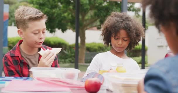 Video Zweier Unterschiedlicher Schüler Beim Mittagessen Und Beim Gespräch Auf — Stockvideo