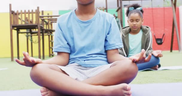 Diverse Sekolah Anak Anak Berolahraga Dan Bermeditasi Pada Tikar Sekolah — Stok Video