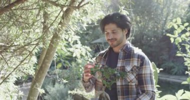 Güneşli bahçede elinde bitki tutan mutlu beyaz adamın portresi, fotokopi alanı, yavaş çekim. Yaşam tarzı, doğa, bahçıvanlık ve ev hayatı, değişmemiş..