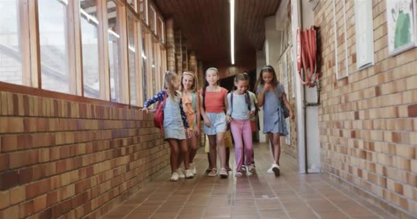小学校の廊下を歩くスクールバッグが付いている幸せな多様な女子生徒 変更されていない — ストック動画