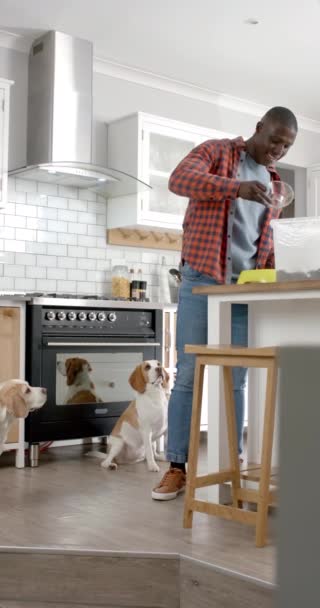 Vídeo Vertical Homem Afro Americano Dar Comida Aos Seus Cães — Vídeo de Stock