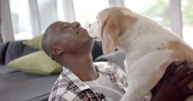 Mutlu Afro-Amerikan adam yerde oturup evcil köpeğiyle oynuyor, ağır çekimde. Yaşam tarzı, evcil hayvanlar ve ev hayatı, değişmemiş..