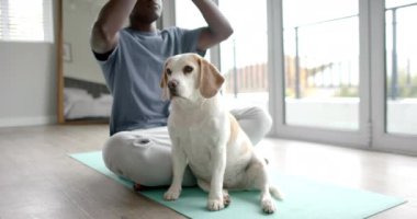 Afrika kökenli Amerikalı bir adam evde evcil köpeğiyle yoga ve meditasyon yaparken ağır çekimde. Yaşam tarzı, kişisel bakım, evcil hayvanlar ve ev hayatı, değişmemiş..