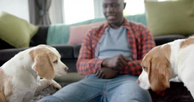 Mutlu Afro-Amerikan adam evinde yerde oturuyor, evcil köpekleriyle oynuyor, ağır çekimde. Yaşam tarzı, evcil hayvanlar ve ev hayatı, değişmemiş..