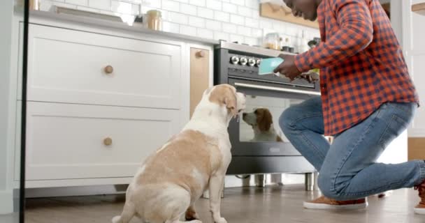 아프리카계 미국인 남자는 집에서 부엌에서 애완견에게 음식을 슬로우 라이프 스타일 — 비디오