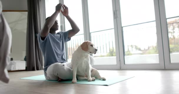 非裔美国人做瑜伽和冥想 与他的宠物狗在家里 慢动作 生活方式 自我照顾 宠物和家庭生活 — 图库视频影像