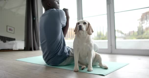 非裔美国人做瑜伽和伸展在家里 与他的宠物狗 慢动作 生活方式 自我照顾 宠物和家庭生活 — 图库视频影像