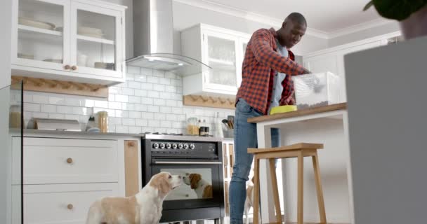 非洲裔美国人在家里的厨房里给他的宠物狗喂食 动作缓慢 生活方式 宠物和家庭生活 — 图库视频影像
