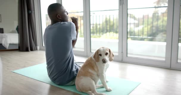Hombre Afroamericano Haciendo Yoga Estirándose Casa Con Perro Mascota Cámara — Vídeo de stock