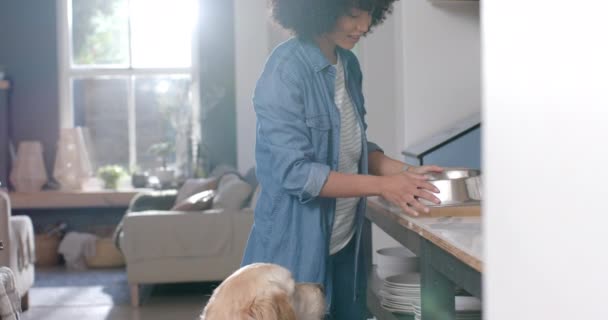 Feliz Mujer Birracial Sirviendo Comida Para Perros Casa Cámara Lenta — Vídeos de Stock