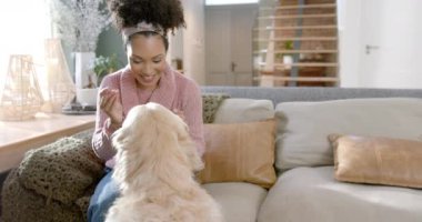 Evde Golden Retriever köpeğini okşayan melez kadın, yavaş çekim, kopyalama alanı. Yaşam tarzı, hayvan ve evcil yaşam biçimi değişmedi..