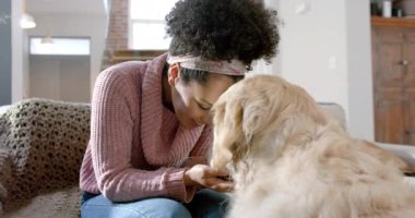 Evde Golden Retriever köpeğini okşayan melez kadın, ağır çekimde. Yaşam tarzı, hayvan ve evcil yaşam biçimi değişmedi..