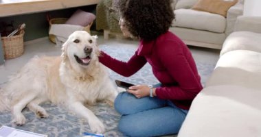 Golden Retriever köpeğini okşayan ve evde akıllı telefon kullanan melez bir kadın. Ağır çekimde. Yaşam tarzı, hayvan, iletişim ve ev hayatı, değiştirilmemiş..