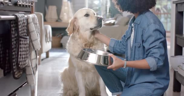 Mujer Biracial Sirviendo Comida Perro Golden Retriever Casa Cámara Lenta — Vídeos de Stock