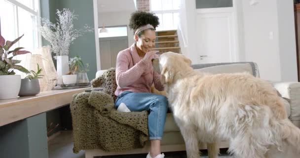 自宅でゴールデンレトリーバー犬を飼っているハッピーな女性 ゆっくり動き ライフスタイル 動物と家庭生活 変更されていない — ストック動画