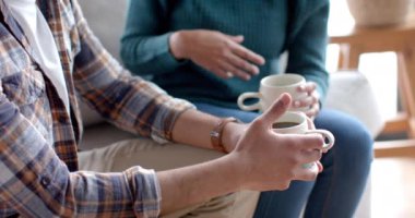 Çift ırklı mutlu çift kanepede oturuyor, kahve içiyor ve evde yavaş çekimde konuşuyor. Yaşam tarzı, birliktelik ve aile hayatı, değişmedi..