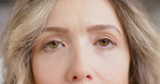ปภาพของสายตาท ความส ขของน จหญ วขาวในส กงานการเคล อนไหวช ออฟฟ ศแบบสบายๆ จและท — วีดีโอสต็อก