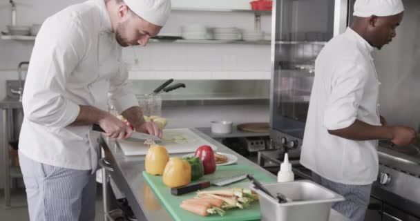 Due Chef Maschi Diversi Che Tagliano Verdure Cucina Rallentatore Cucina — Video Stock