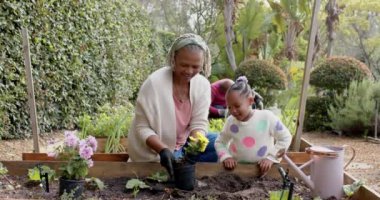 Mutlu Afro-Amerikan büyükanne ve torunu bahçede çiçek dikiyor, yavaş çekimde. Aile, çocukluk, birliktelik, doğa, bahçıvanlık ve yaşam tarzı, değişmemiş..
