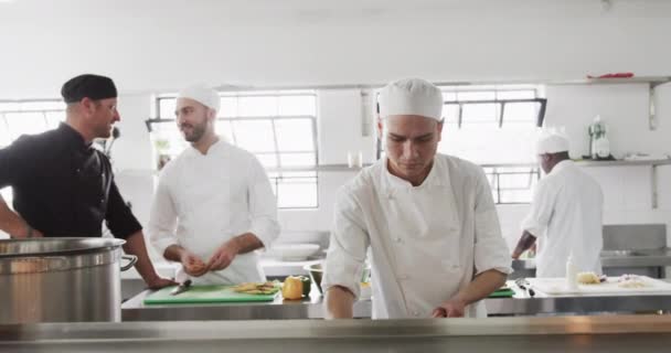 Skupina Různorodých Kuchařů Připravuje Jídlo Kuchyni Zpomaluje Vaření Profese Jídlo — Stock video