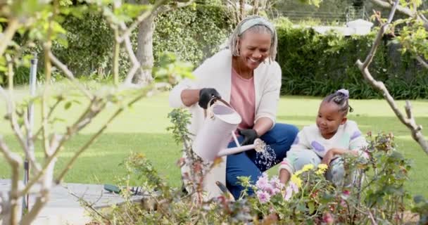 Χαρούμενη Αφροαμερικανή Γιαγιά Και Εγγονή Ποτίζουν Φυτά Στον Ηλιόλουστο Κήπο — Αρχείο Βίντεο