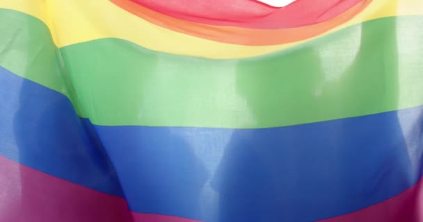 不同的男同性恋夫妇手持彩虹Lgbt旗 动作缓慢 生活方式 爱好和爱情 — 图库视频影像