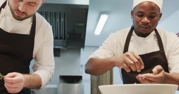 Due Chef Maschi Diversi Che Decorano Pasti Cucina Rallentatore Cucina — Video Stock