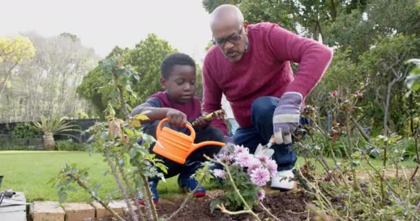 Glad Afrikansk Amerikansk Farfar Och Sonson Vattnar Växter Trädgården Slow — Stockvideo