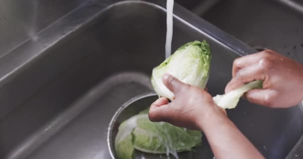 アフリカ系アメリカ人男性シェフがキッチンでシンクで野菜を洗い ゆっくり動きます 食べ物 レストラン ケータリング 変更なし — ストック動画