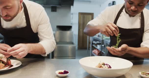 两个不同的男厨师在厨房里装饰饭菜 动作缓慢 餐馆和饮食业 未经改动 — 图库视频影像