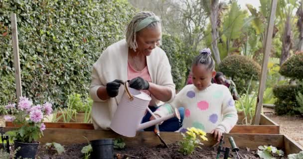 Χαρούμενη Αφροαμερικανή Γιαγιά Και Εγγονή Ποτίζουν Λουλούδια Στον Κήπο Αργή — Αρχείο Βίντεο