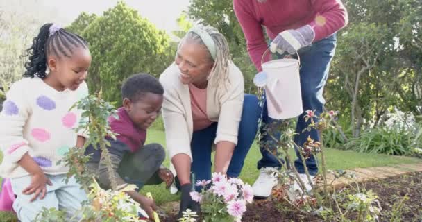 Szczęśliwi Afrykańscy Dziadkowie Wnuk Wnuczka Uprawiający Razem Ogródek Spowolniony Ruch — Wideo stockowe