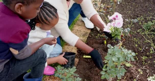 Afrikansk Amerikansk Mormor Sonson Och Sondotter Planterar Blommor Trädgården Slow — Stockvideo