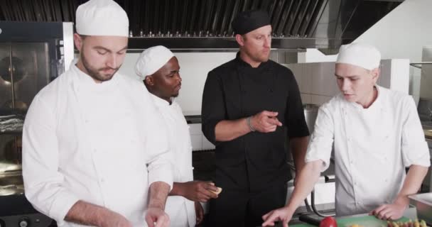 多様な男性シェフがキッチンで訓練された男性シェフのグループを指示し ゆっくりとした動き レストランおよびケータリング 変わらない — ストック動画