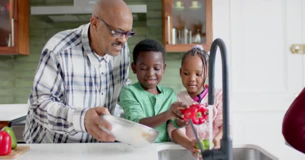 ハッピーアフリカ系アメリカ人の祖父母や孫たちがキッチンで野菜を洗い ゆっくり動く 食べ物 トータルネス 家庭生活 ライフスタイル 変わらない — ストック動画