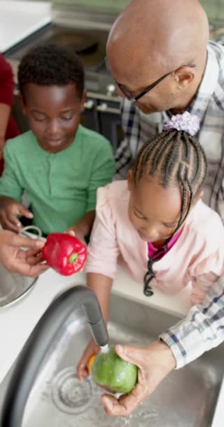 Heureux Grands Parents Afro Américains Petits Enfants Lavant Les Légumes — Video
