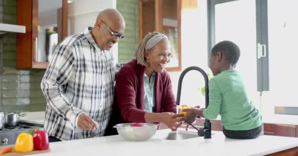 ハッピーアフリカ系アメリカ人の祖父母や孫たちがキッチンで野菜を洗い ゆっくり動く 食べ物 トータルネス 家庭生活 ライフスタイル 変わらない — ストック動画
