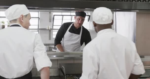 Gericht Diverse Mannelijke Chef Kok Instrueren Mannelijke Chef Koks Keuken — Stockvideo