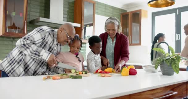 ハッピーアフリカ系アメリカ人の祖父母や孫たちがキッチンで野菜を切ってゆっくり動く 食べ物 トータルネス 家庭生活 ライフスタイル 変わらない — ストック動画
