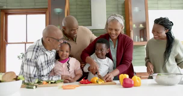 ハッピーアフリカ系アメリカ人の多世代の家族がキッチンで野菜をチョッピング スローモーション 食べ物 トータルネス 家庭生活 ライフスタイル 変わらない — ストック動画