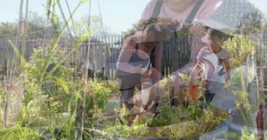 Mutlu çift ırklı büyükanne ve torun güneşli bahçede birlikte vakit geçiriyorlar, ağır çekimde. Aile, birliktelik, doğa, hayvanlar, bahçıvanlık, çiftlik ve sağlıklı yaşam tarzı, değişmemiş.