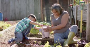 Mutlu son sınıf melez büyükanne ve torun güneşli bahçede çiçek suluyor, ağır çekimde. Aile, birliktelik, doğa, bahçıvanlık ve yaşam tarzı, değişmemiş..