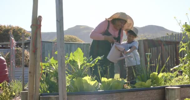 Starsza Birasowa Babcia Wnuk Podlewający Rośliny Słonecznym Ogrodzie Zwolnione Tempo — Wideo stockowe