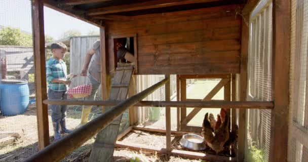 헨하우스 슬로우 공간에서 계란을 행복한 할머니와 동일성 유기농 건강한 라이프 — 비디오