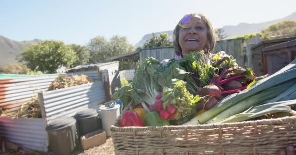 Portret Szczęśliwej Seniorki Birasowej Trzymającej Kosz Warzywami Słonecznym Ogrodzie Spowolniony — Wideo stockowe