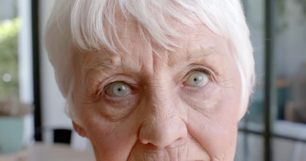 Portrét Šťastné Starší Bělošky Která Doma Usmívá Zpomaleným Pohybem Senior — Stock video