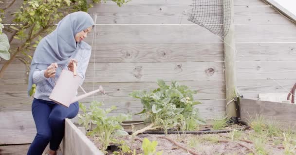 Happy Biracial Woman Hijab Watering Plants Gardening Copy Space Slow — Stok Video