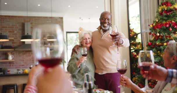 Feliz Diversa Pareja Ancianos Amigos Haciendo Brindis Con Vino Cena — Vídeo de stock